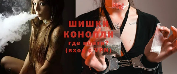 таблы Богородицк