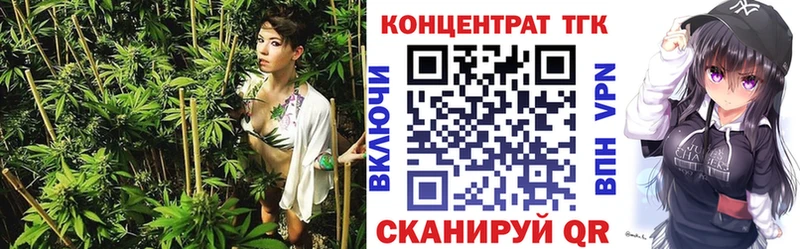ссылка на мегу ссылка  Шахунья  Дистиллят ТГК гашишное масло  сколько стоит 