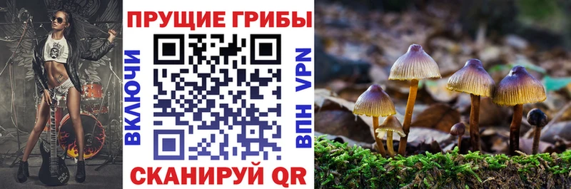 Галлюциногенные грибы прущие грибы  магазин    Шахунья 